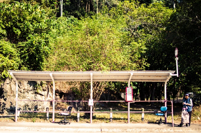 a covered bus stop near a wooded area with a woman