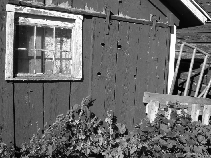 old, black and white pograph of an old weathered wooden house with a door, window and planter