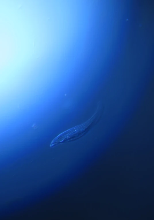 a distant object on blue water is shown