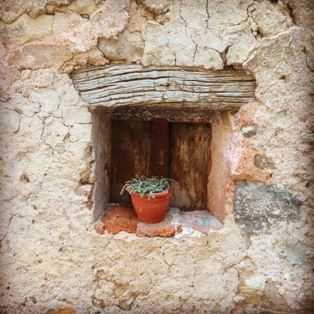 a small potted plant in a stone house window