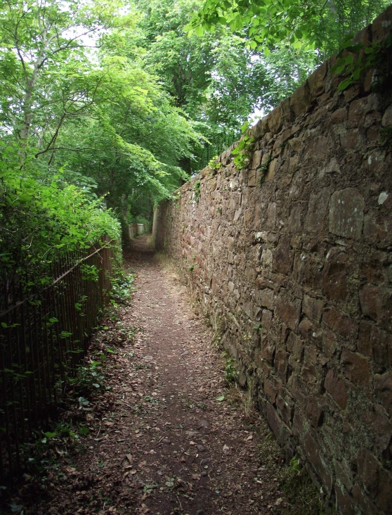 a tree - lined path is surrounded by trees and brush