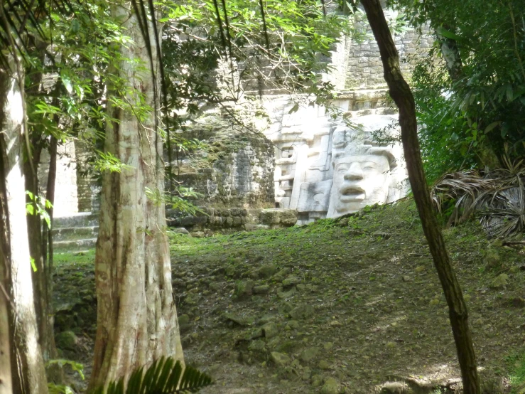 a bunch of trees on a hillside with a building in the background