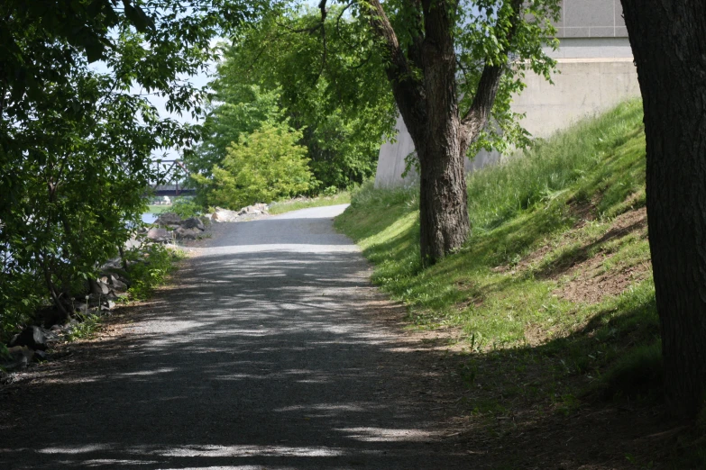 a road near the side of a wall between two trees