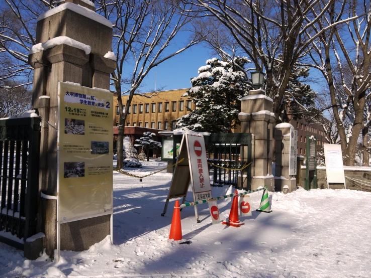 several cones set up in the snow to keep off roadwork