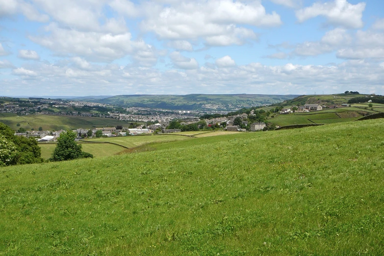 the sheep is standing on the grassy hill