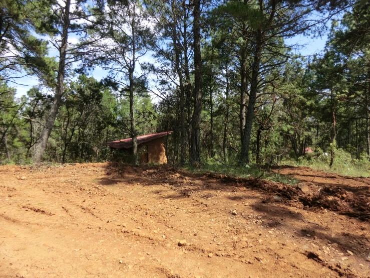 a dirt road that has a truck on it