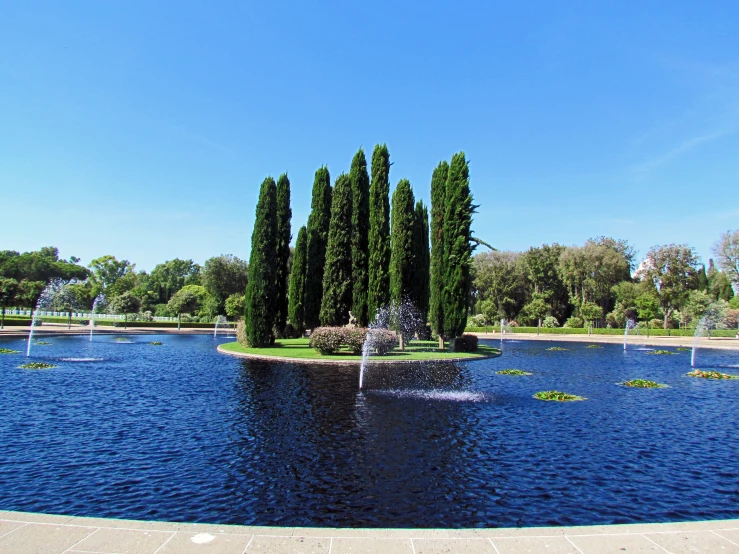 the water is in a pond with three trees on each side