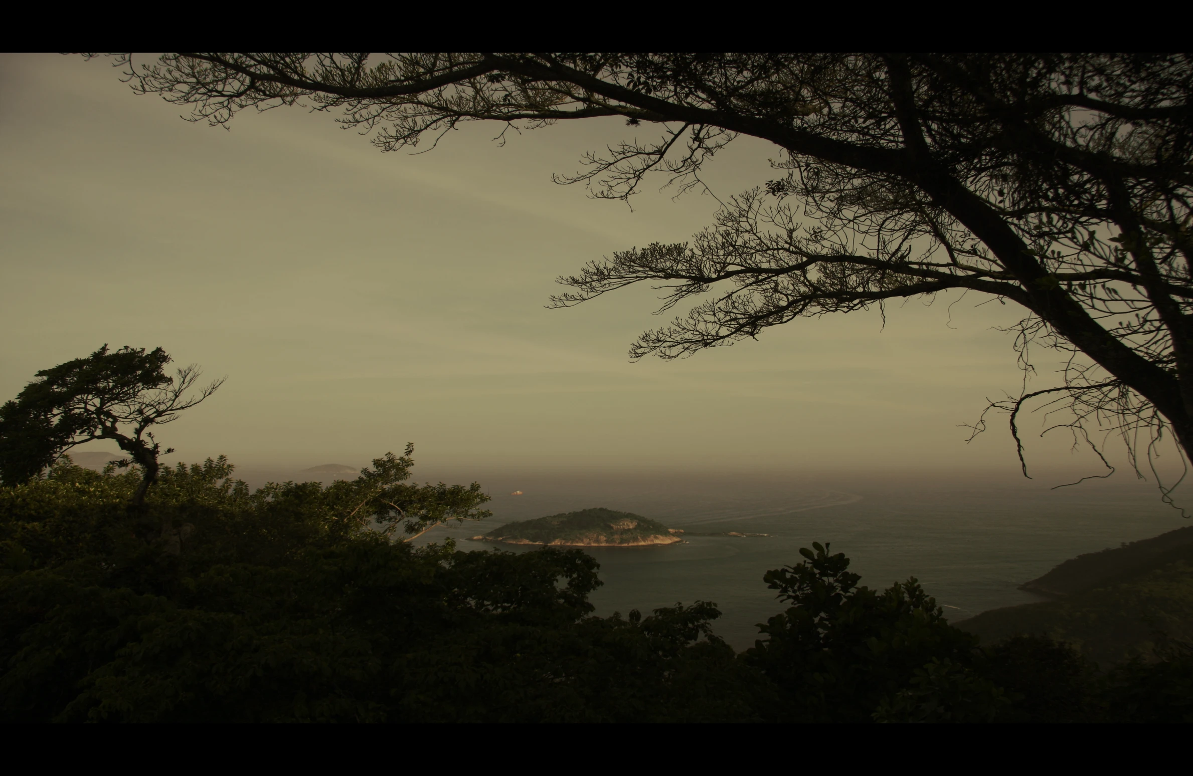 the tree nch on the left is looking over the bay