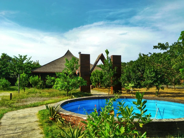 a blue pool in the middle of a jungle