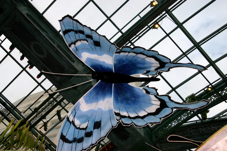 a big blue erfly statue inside a glass structure