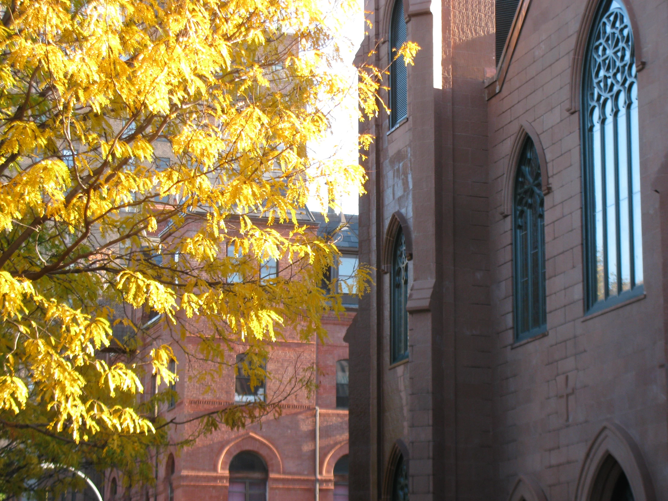 a cathedral next to a building with large windows