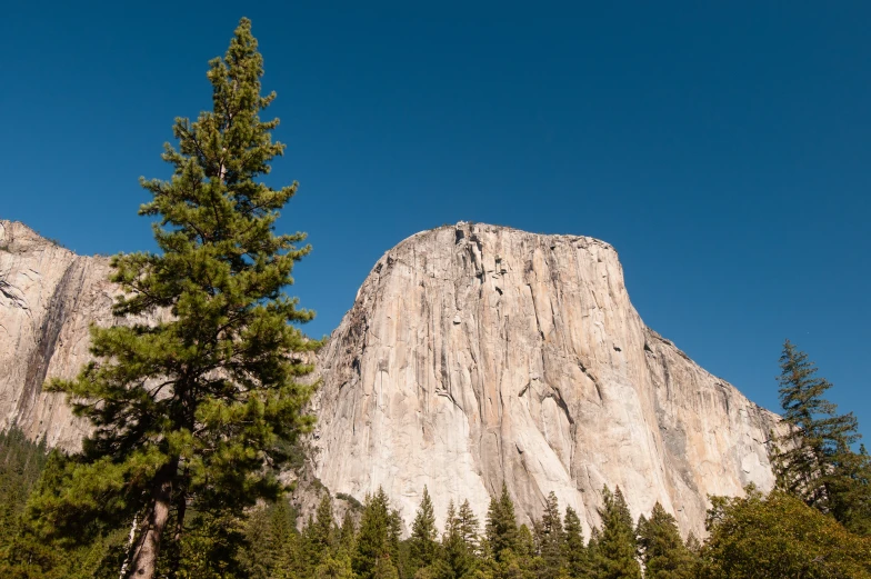 large cliff in the distance with trees on the far side