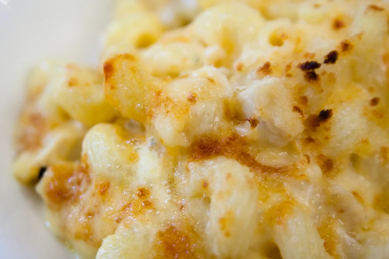 this macaroni and cheese dish looks delicious with a crispy crumb topping