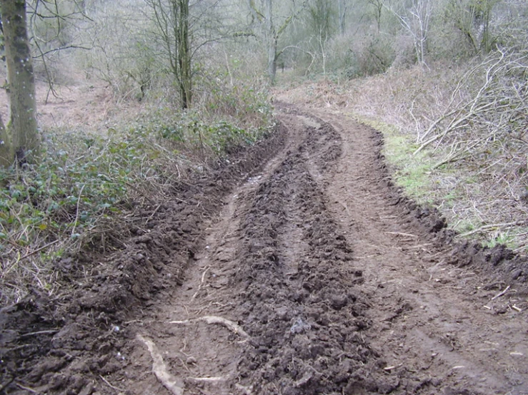 the mud trail is empty of vehicles for a hike