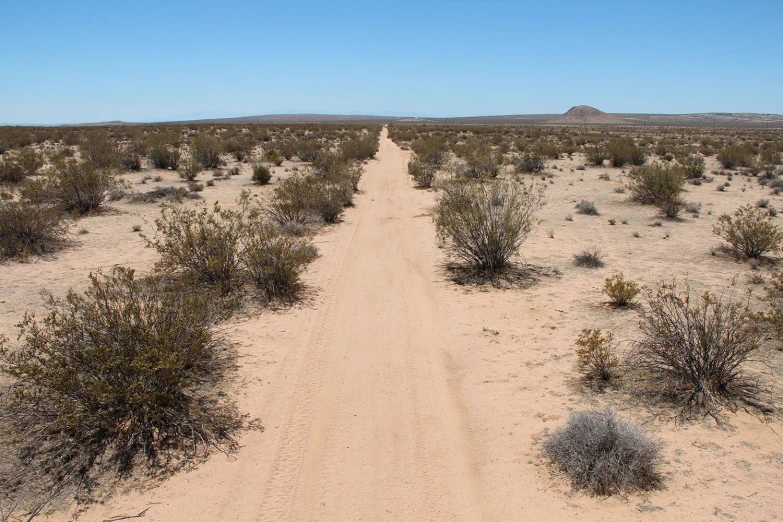 a dirt road surrounded by scrub brush with a sky background