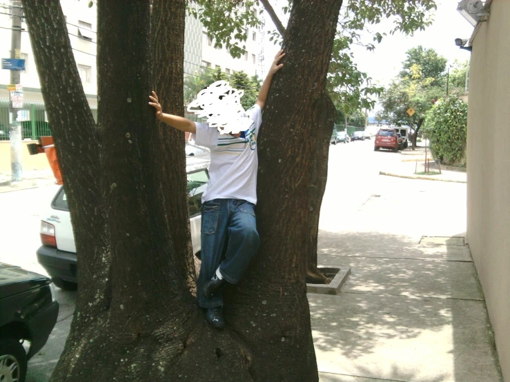 a person reaching out from the trunk of a tree on the side walk