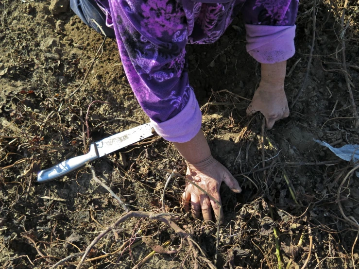 a person wearing purple shirt holding a knife near the ground