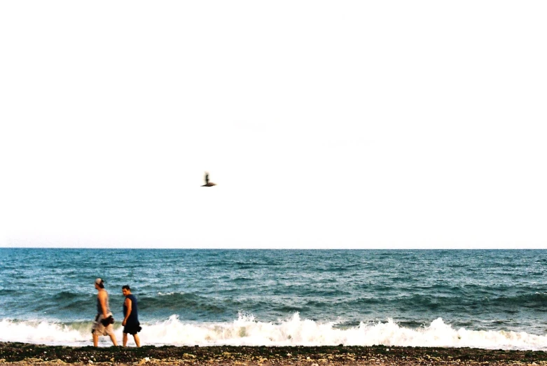 two people on the beach flying kites