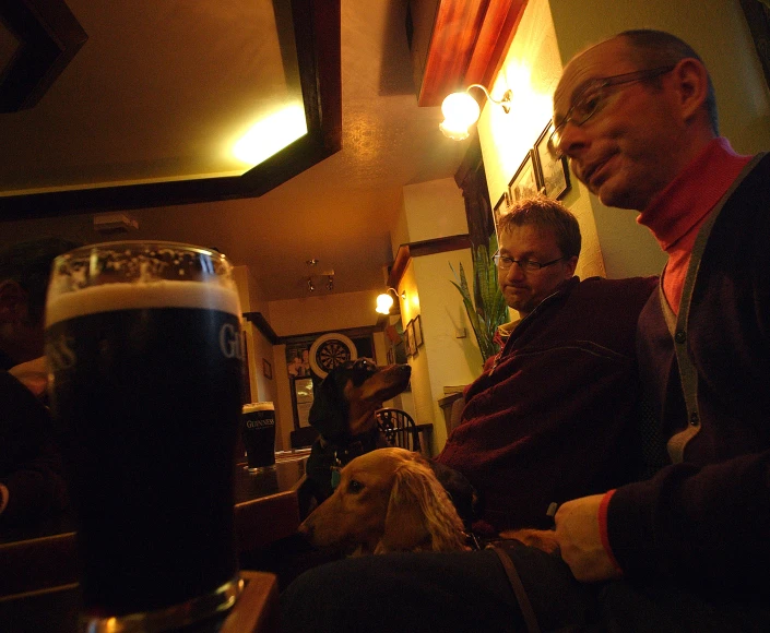 two men sitting at a bar with a mug of beer