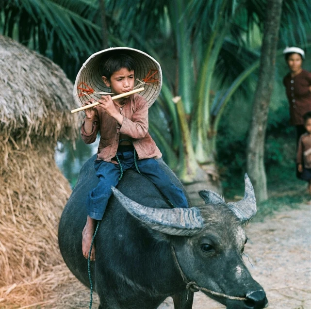 the girl is riding on the big animal