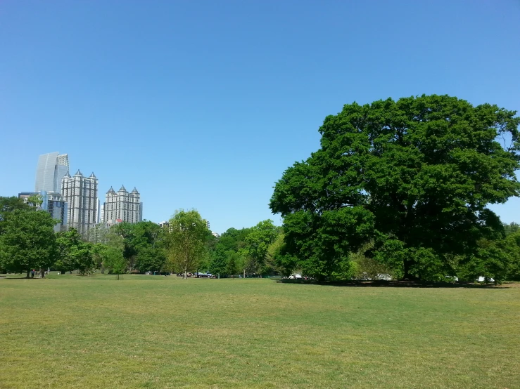 a large grassy field next to a tree