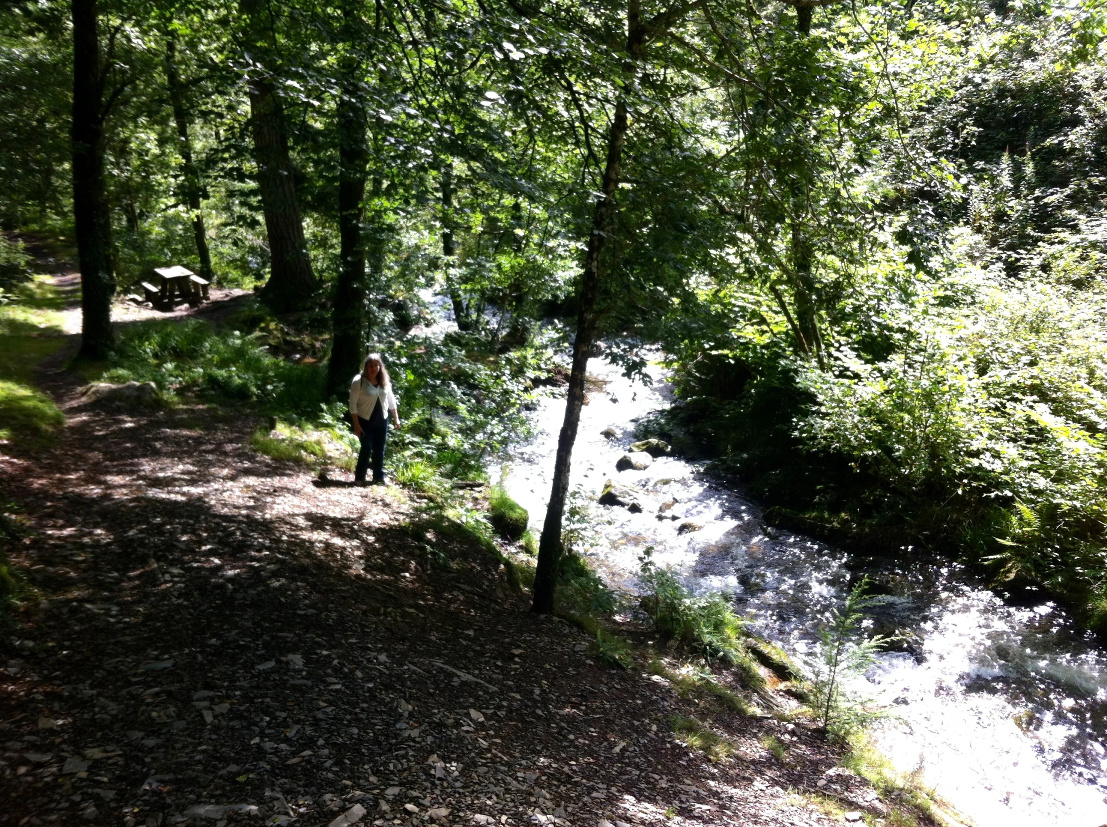 a person walking next to trees and river