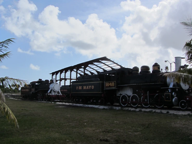 a train is riding on the tracks near palm trees