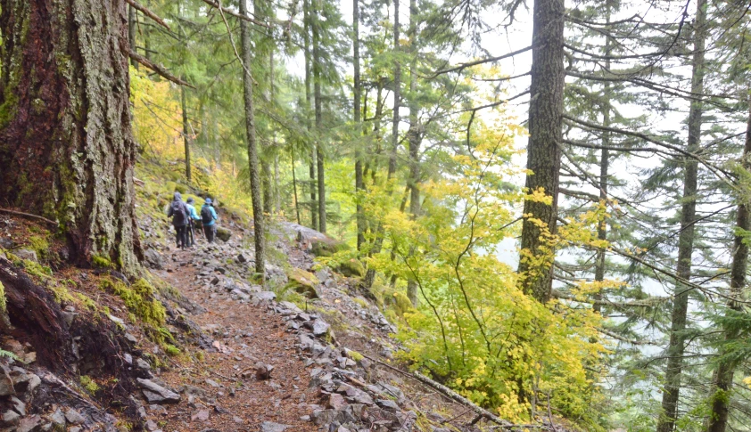 a couple of people on a trail surrounded by trees