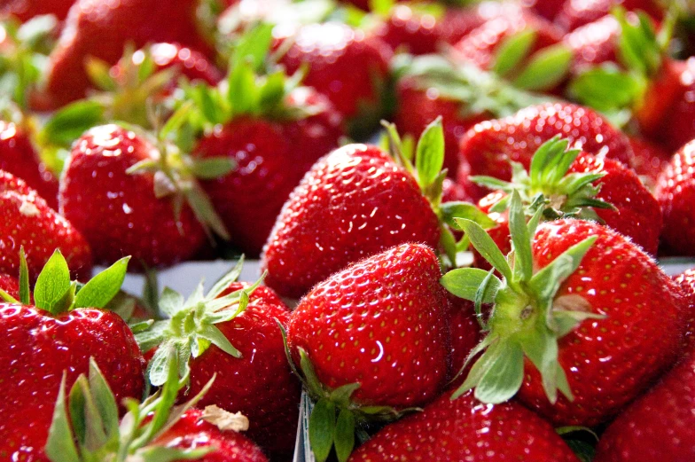 a bunch of big red strawberries on display for sale