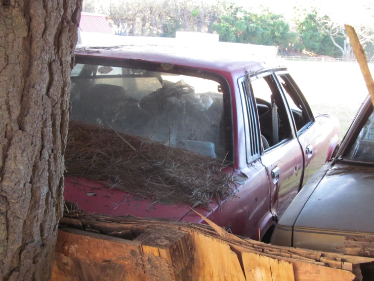 the cars are sitting outside the door of the house and filled with twigs