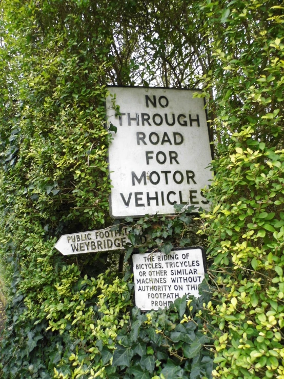 signs are posted on the side of a hill