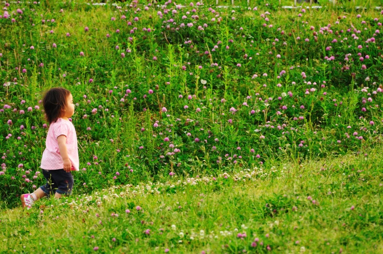 a little girl walking in a field of grass