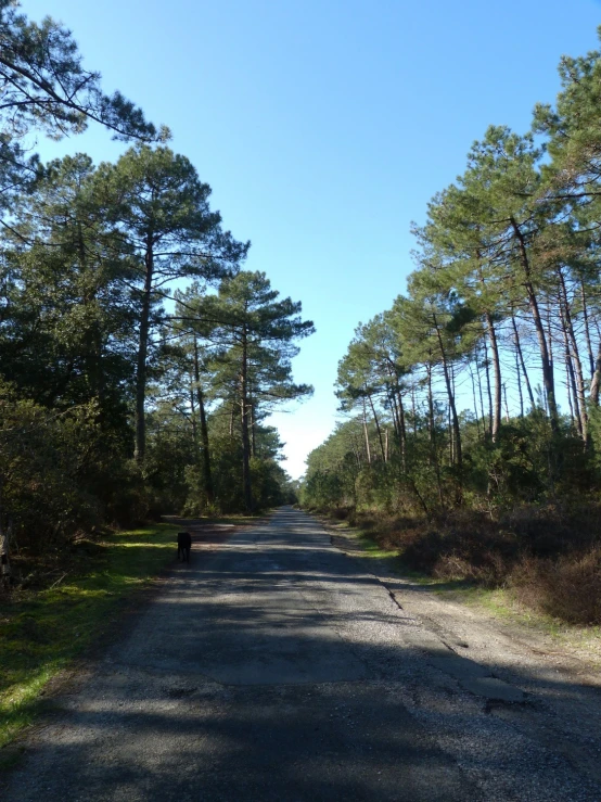 the road is empty and clear of people