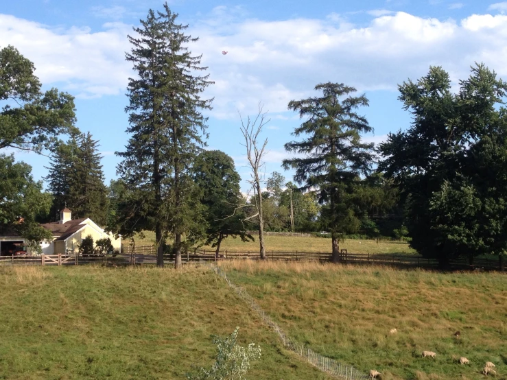 the house in the field has a tree lined fence