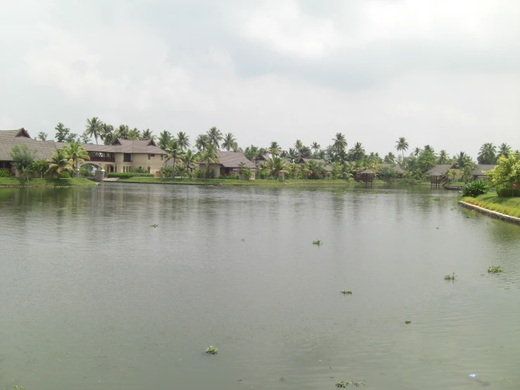 a beautiful lake surrounded by small houses and palm trees