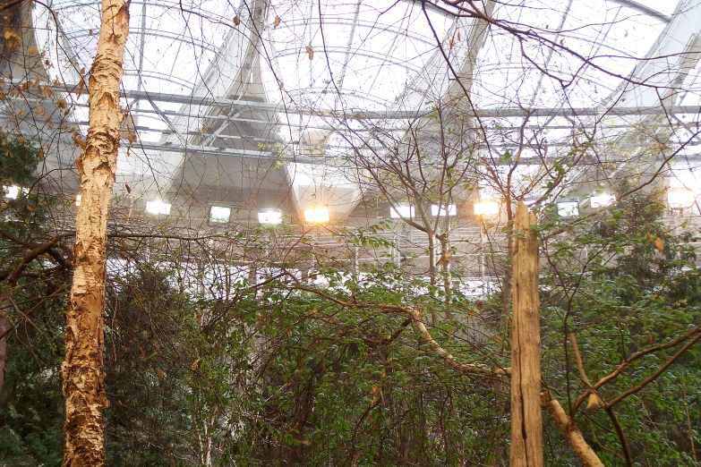 view of inside a building from behind trees