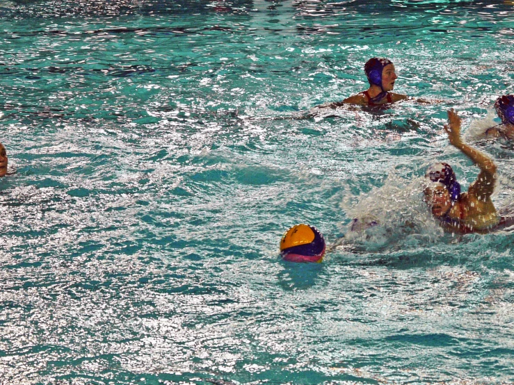 group of people swimming in pool next to a pool