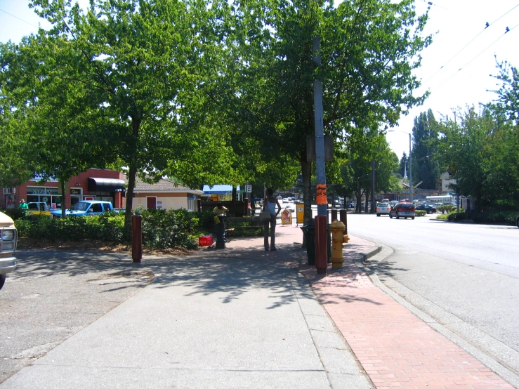 a view of some trees that are next to the street