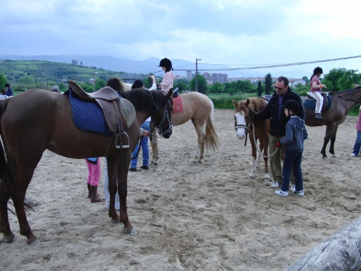 several people and their horses are standing in the sand