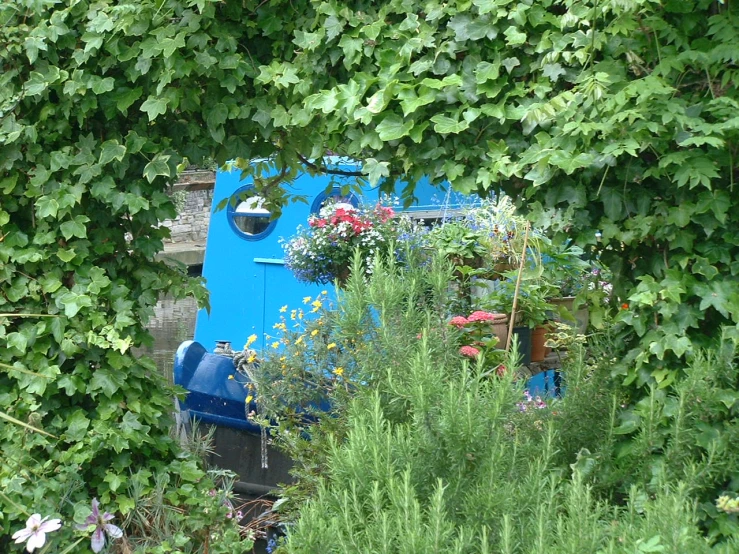 blue trailer surrounded by flowers and vegetation in garden