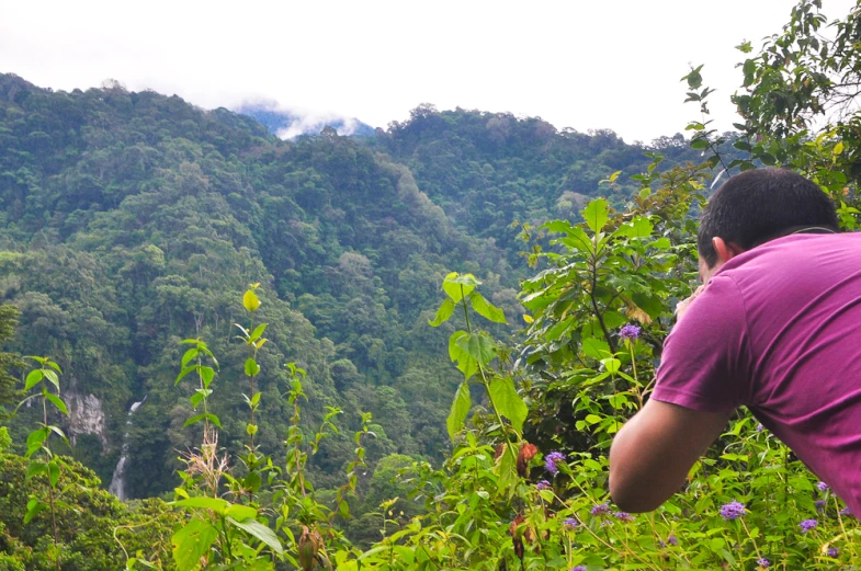 a man taking a po of the hills and valleys in the rainforest