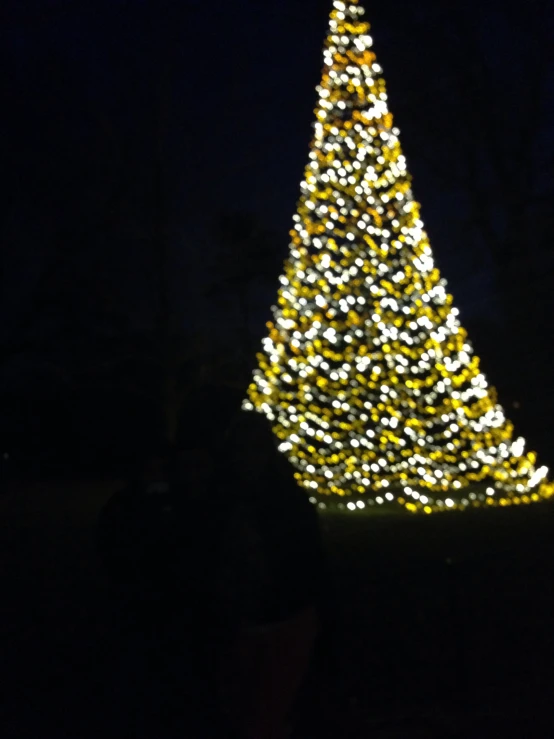 a very tall and decorated lit christmas tree