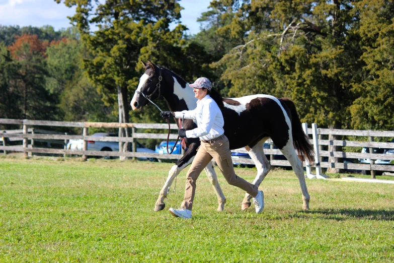 a person holding the reins of a horse