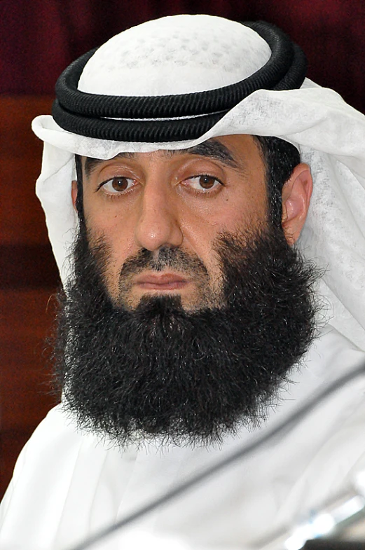 a bearded man with a huge beard sits in front of a microphone