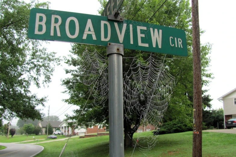 a close up of a street sign with trees in the background