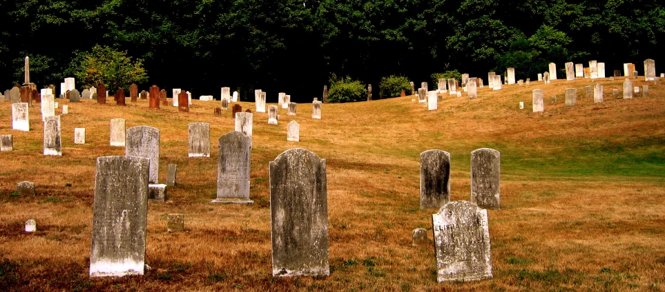 the view of the cemetery from the top