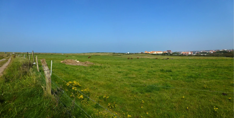 a very large field with a fence around it