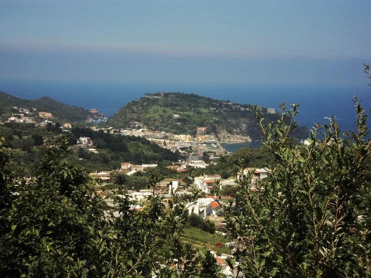 a view of a city from behind some trees