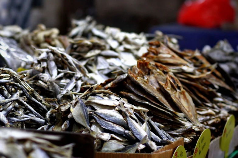 a close up of a box of dead fish