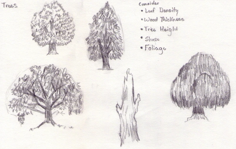 a bunch of different types of trees drawn by hand